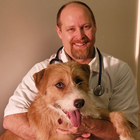 Battleground Veterinary Hospital - Greensboro , United States