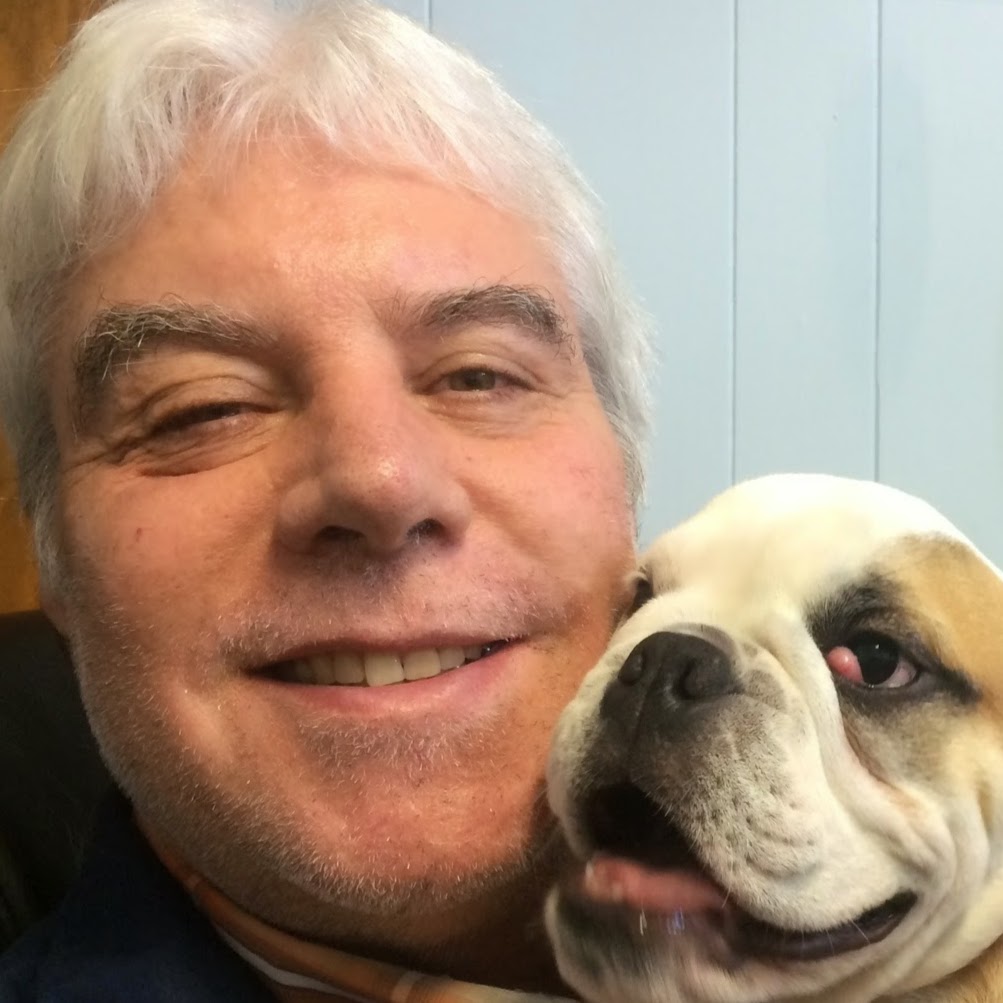 Broward Animal Hospital - Hollywood , United States