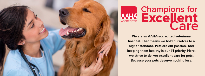 Vca Brighton Animal Hospital - Brighton , United States