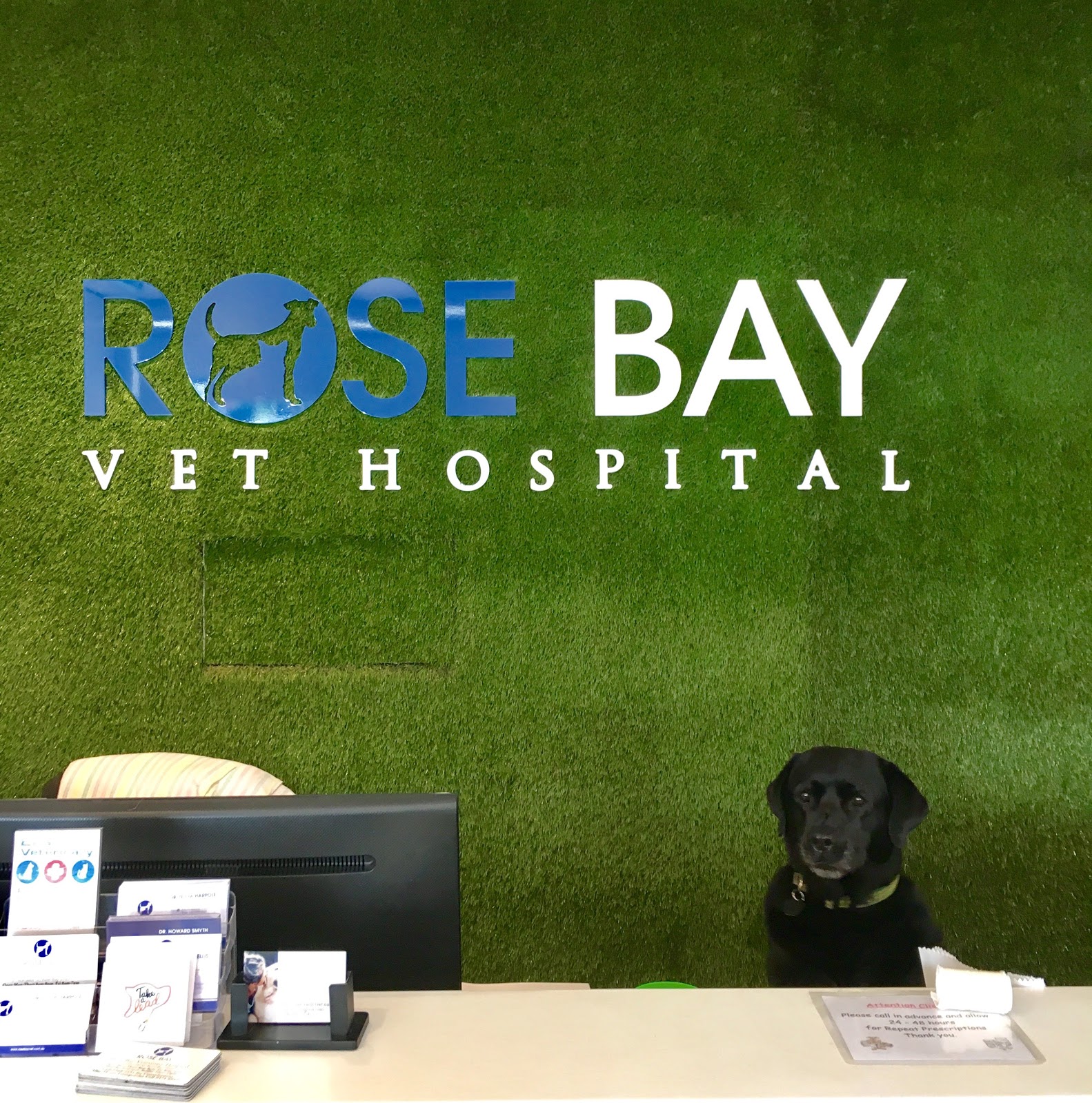 Rose Bay Vet Hospital - Rose Bay , Australia