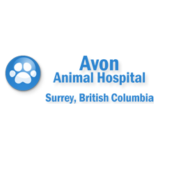 Avon Animal Hospital - Surrey , Canada