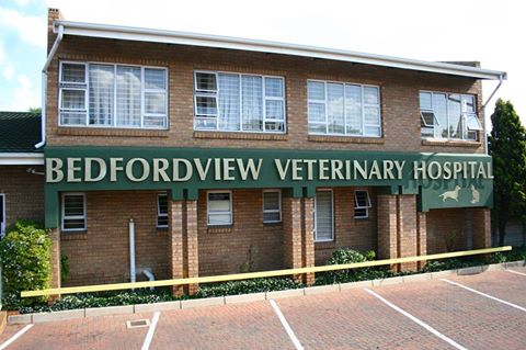 Bedfordview Veterinary Hospital - Johannesburg , South Africa