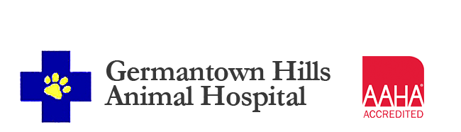 Nichols Peter M DVM - Metamora , United States