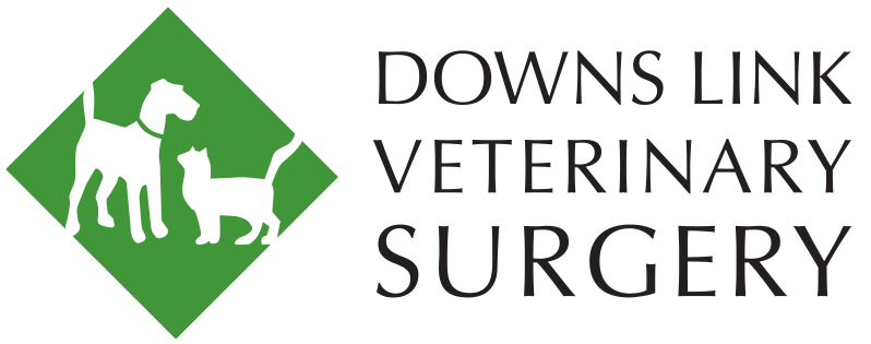 Downslink Veterinary Practice - Horsham , United Kingdom