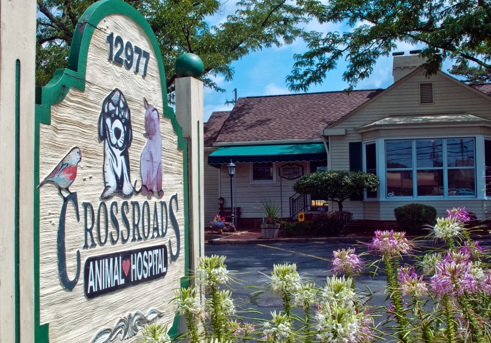 Crossroads Animal Hospital - Strongsville , United States