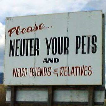 Farmington Veterinary Clinic - Farmington , United States