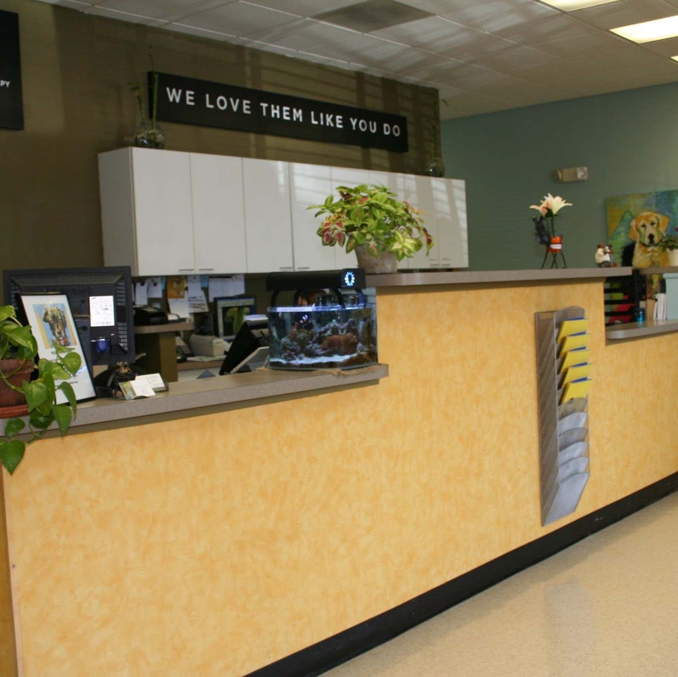 The Regional Veterinary Referral Center - Springfield , United States
