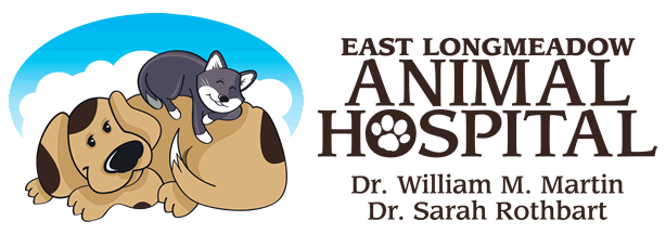 East Longmeadow Animal Hospital - East Longmeadow , United States