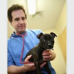 Severn Veterinary Centre Tybridge House - Worcester , United Kingdom