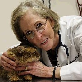 Northern Illinois Cat Clinic - Libertyville , United States