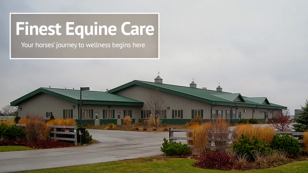 Kendall Road Equine Hospital - Elgin , United States
