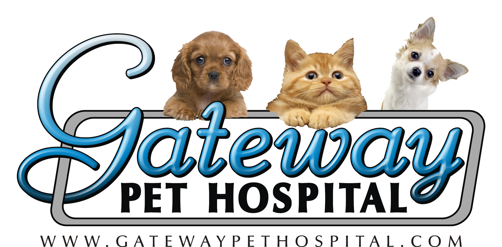 Gateway Pet Hospital - Kitchener , Canada