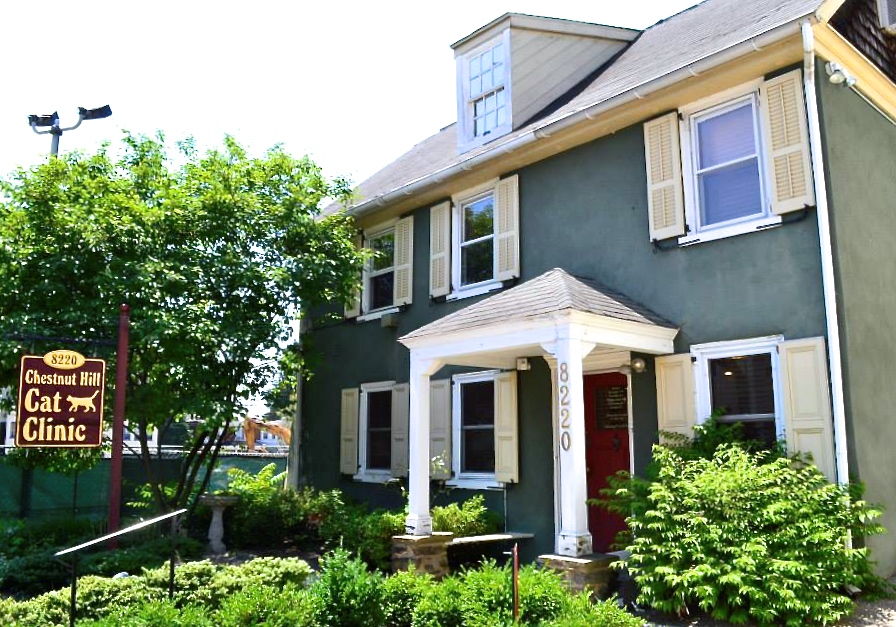 Chestnut Hill Cat Clinic - Philadelphia , United States