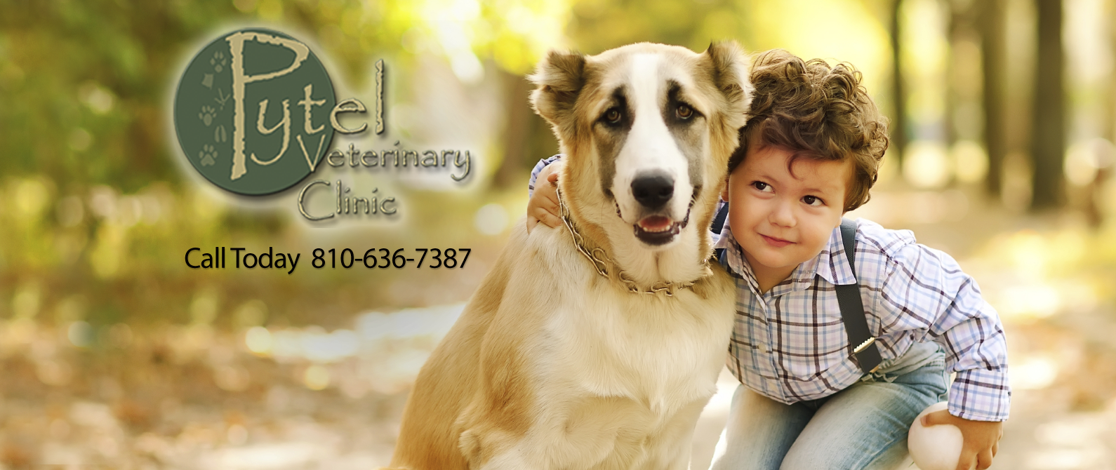 Pytel Veterinary Clinic - Goodrich , United States