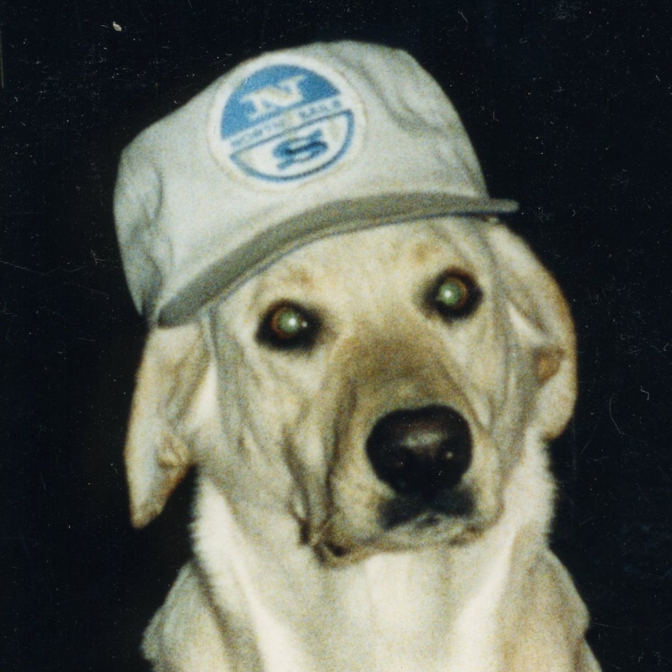Ferguson Animal Hospital - North Providence , United States