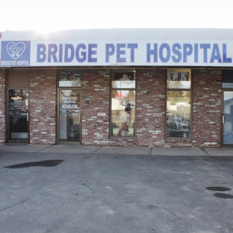 Bridge Pet Hospital - Lethbridge , Canada
