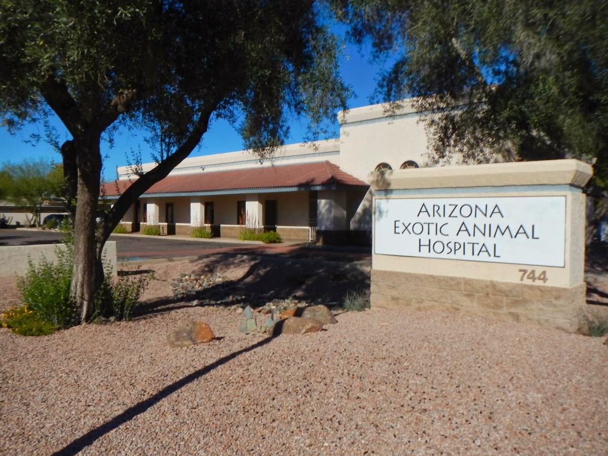 Arizona Exotic Animal Hospital Mesa - Mesa , United States