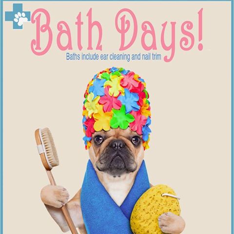 St Gabriel Animal Hospital - St Gabriel , United States