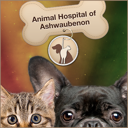 Animal Hospital Of Ashwaubenon - Green Bay , United States