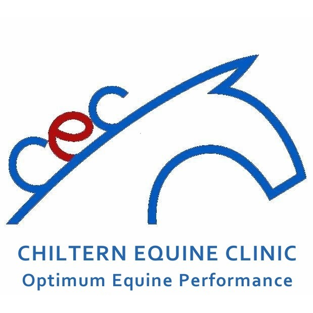 Chiltern Equine Clinic - Chalfont St Giles , United Kingdom
