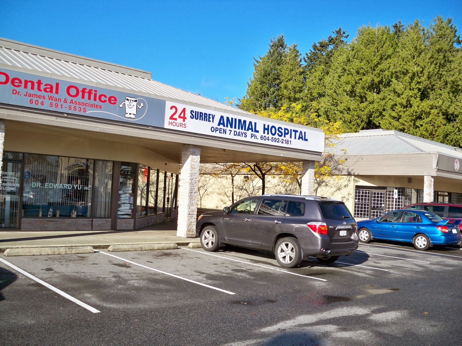 Surrey Animal Hospital - Surrey , Canada