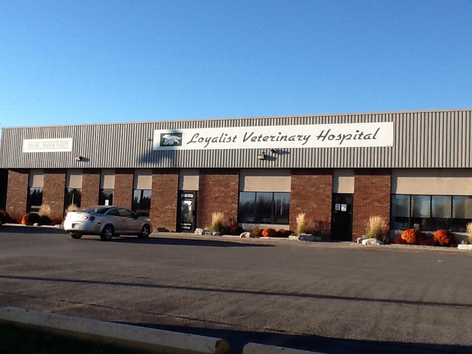 Loyalist Veterinary Hospital - Belleville , Canada