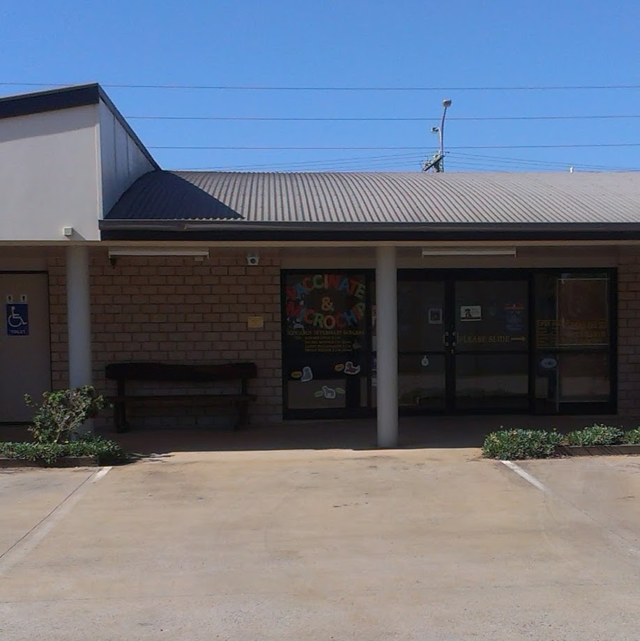Kingaroy Veterinary Surgery - Kingaroy , Australia