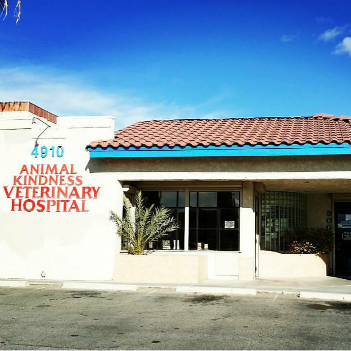 Animal Kindness Veterinary Hospital - Las Vegas , United States