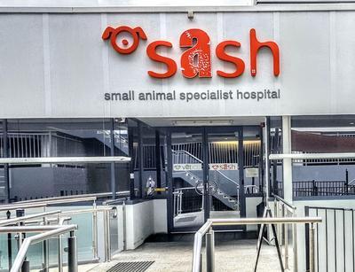 Sash small hot sale animal hospital