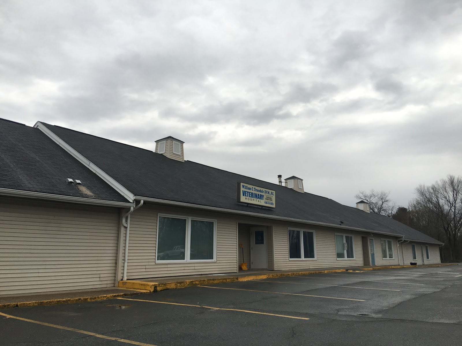 Central Avenue Veterinary Clinic - Seekonk , United States