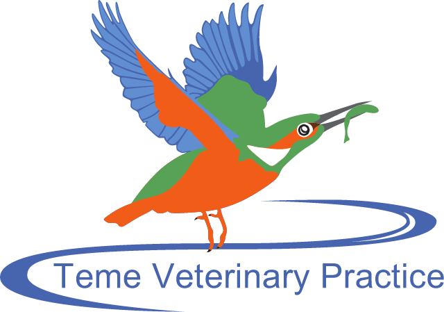 Teme Veterinary Practice - Ludlow , United Kingdom