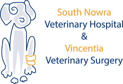 South Nowra Veterinary Hospital - South Nowra , Australia