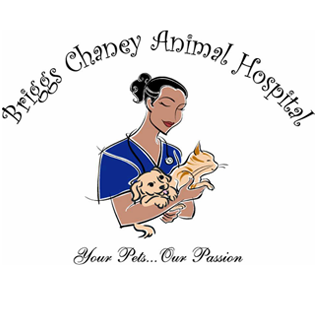 Briggs Chaney Animal Hospital - Burtonsville , United States