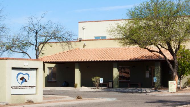 Dermatology For Animals Tucson - Tucson , United States