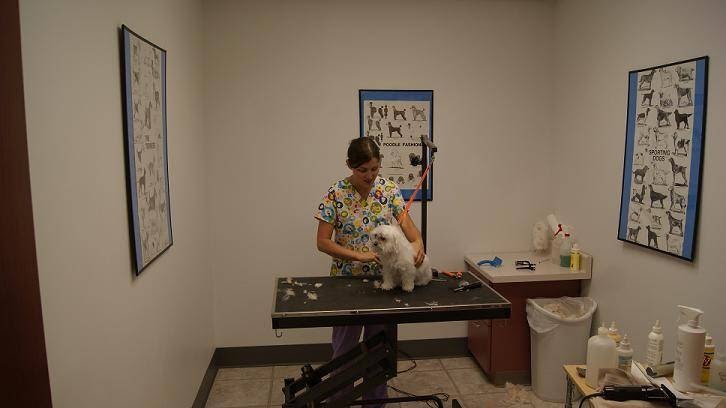 Lake Country Veterinary Care - Hartland , United States