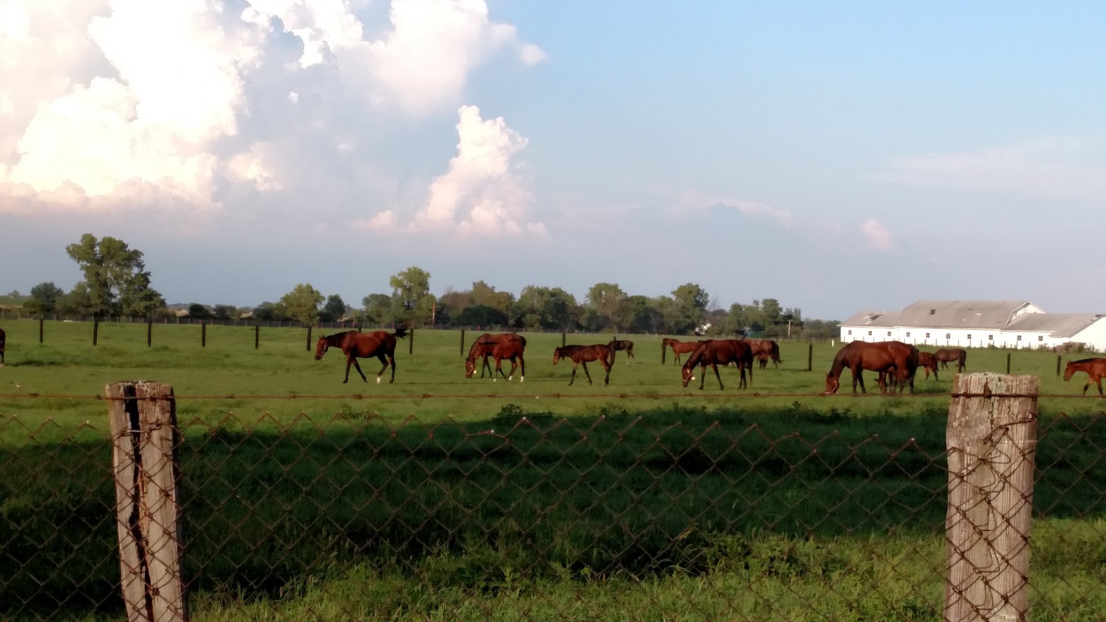 Midland Acres - Bloomingburg , United States