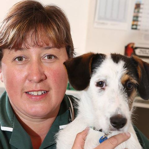 The Minster Veterinary Practice Mount Branch - Malton , United Kingdom