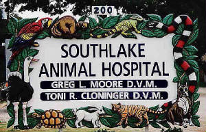 Southlake Animal Hospital - Southlake , United States