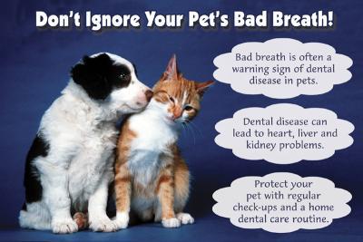 Joor Road Veterinary Hospital - Baton Rouge , United States