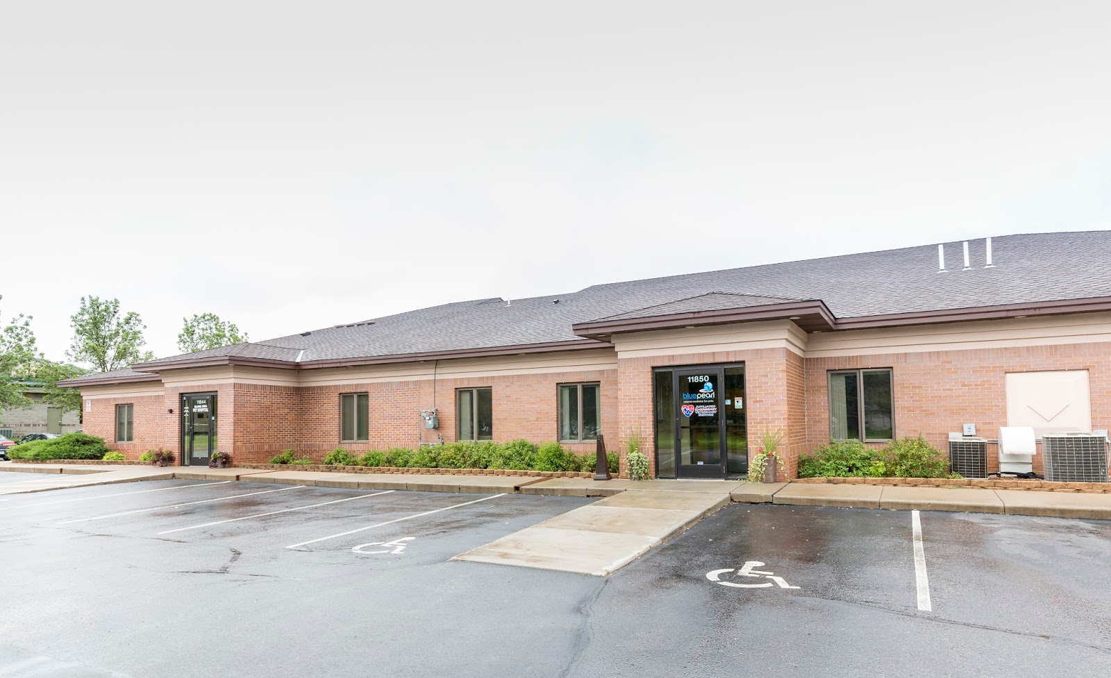 Bluepearl Pet Hospital Blaine - Blaine , United States