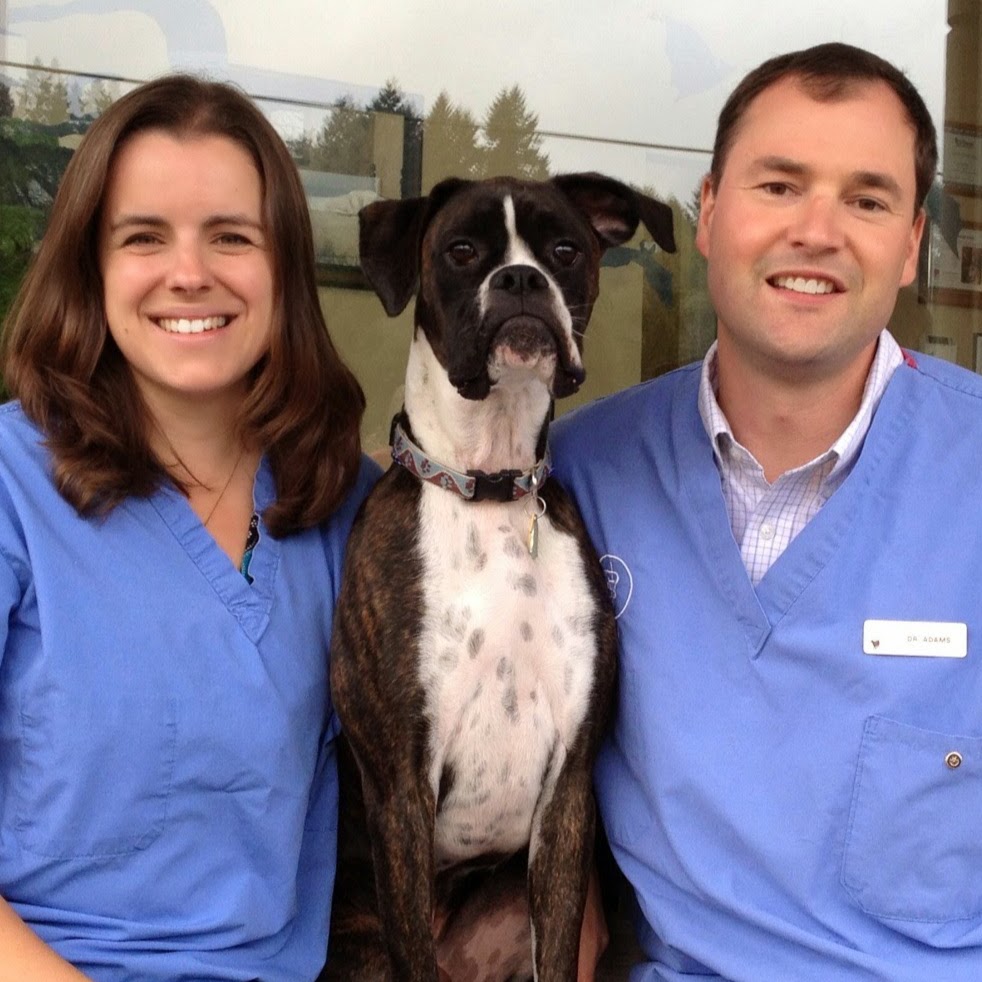 Poulsbo Animal Clinic - Poulsbo , United States
