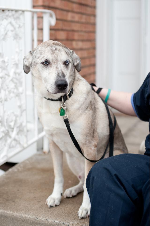 Larpenteur Animal and Bird Hospital - Saint Paul , United States