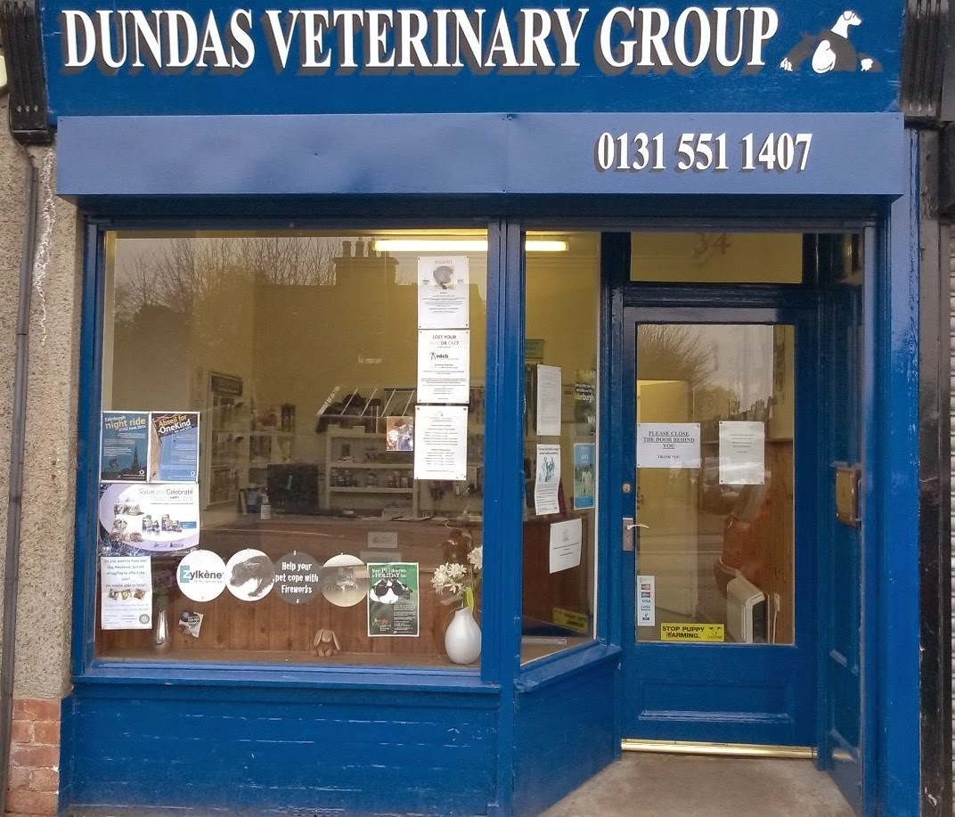 Dundas Veterinary Group - Edinburgh , United Kingdom