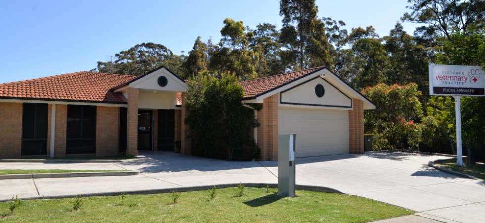 Fletcher Vet - Fletcher , Australia