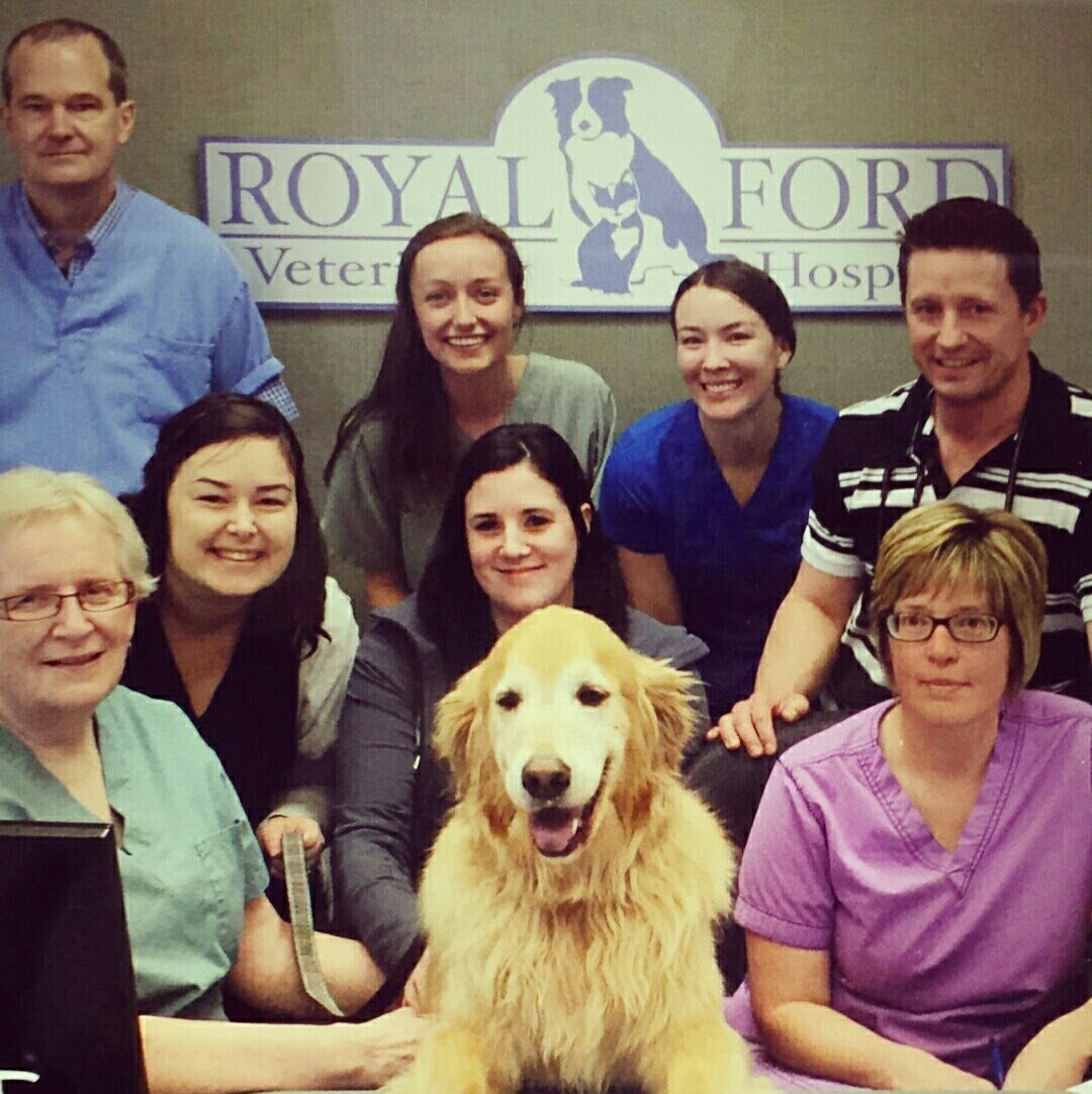 Royal Ford Veterinary Hospital - Oakville , Canada