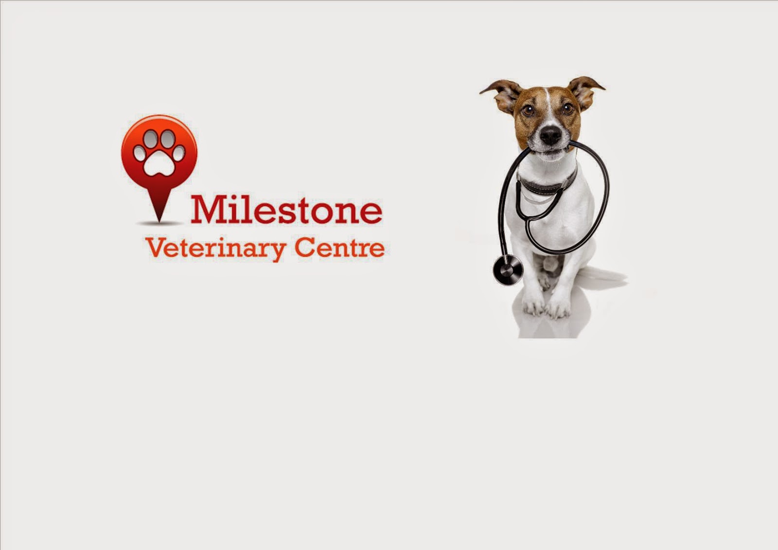 Milestone Veterinary Centre - Newton Abbot , United Kingdom