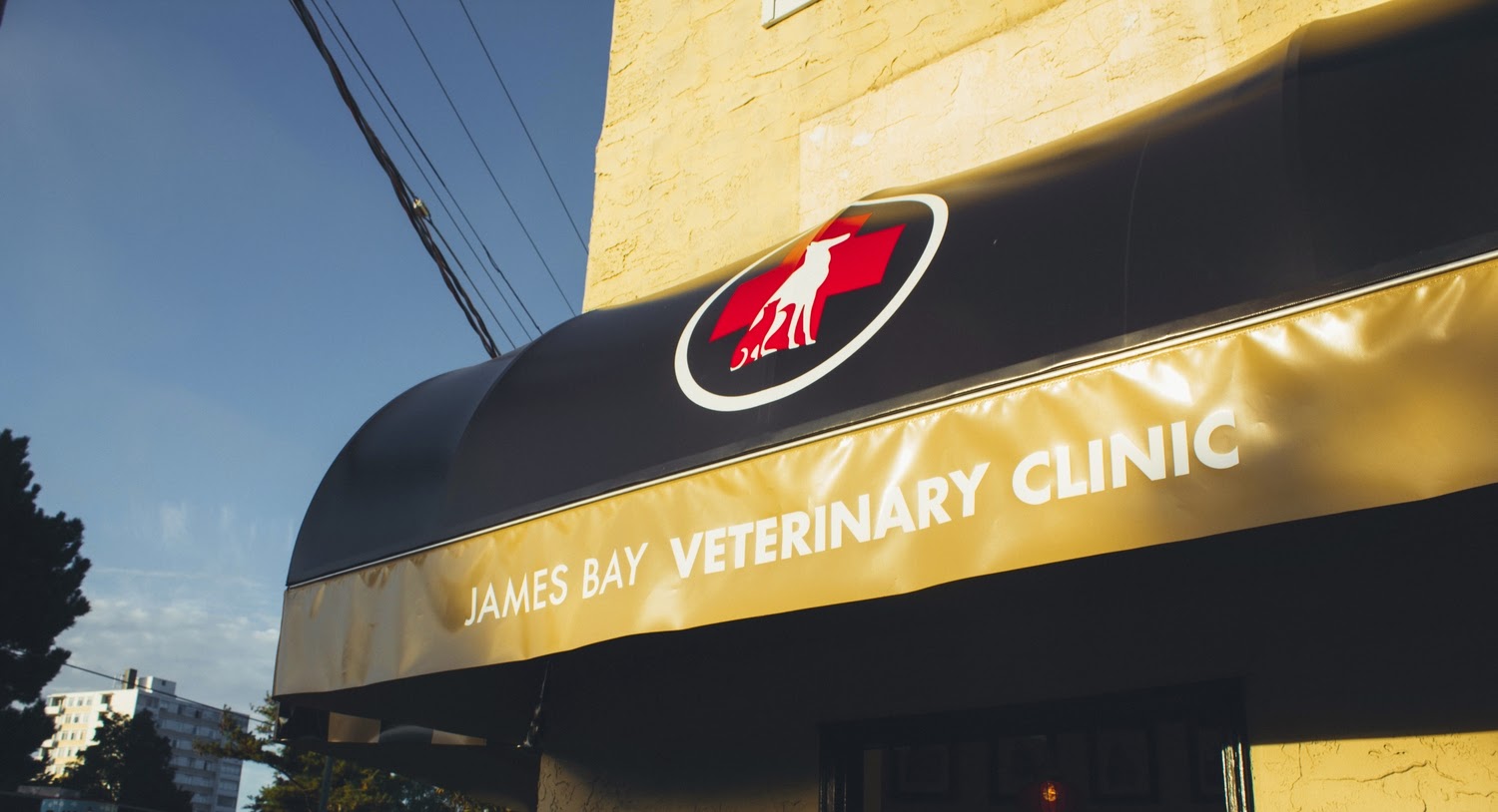 James Bay Veterinary Clinic - Victoria , Canada