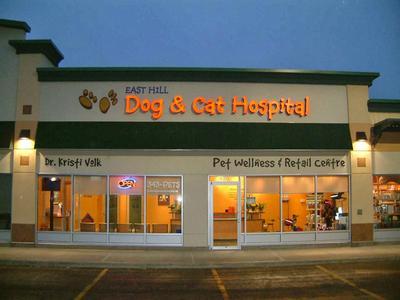 East hill dog & sales cat hospital