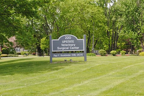 Upstate Veterinary Surgical Center - Canastota , United States