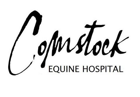 Comstock Equine Hospital - Reno , United States